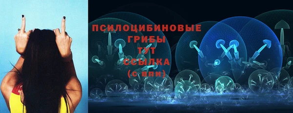 ГАЛЛЮЦИНОГЕННЫЕ ГРИБЫ Алзамай