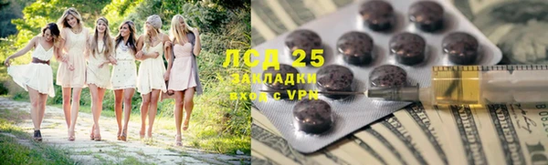 ГАЛЛЮЦИНОГЕННЫЕ ГРИБЫ Алзамай