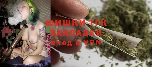 ГАЛЛЮЦИНОГЕННЫЕ ГРИБЫ Алзамай