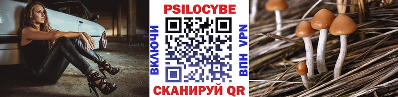 Псилоцибиновые грибы мухоморы Тамбов