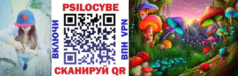 сколько стоит  Тамбов  гидра вход  Псилоцибиновые грибы GOLDEN TEACHER 